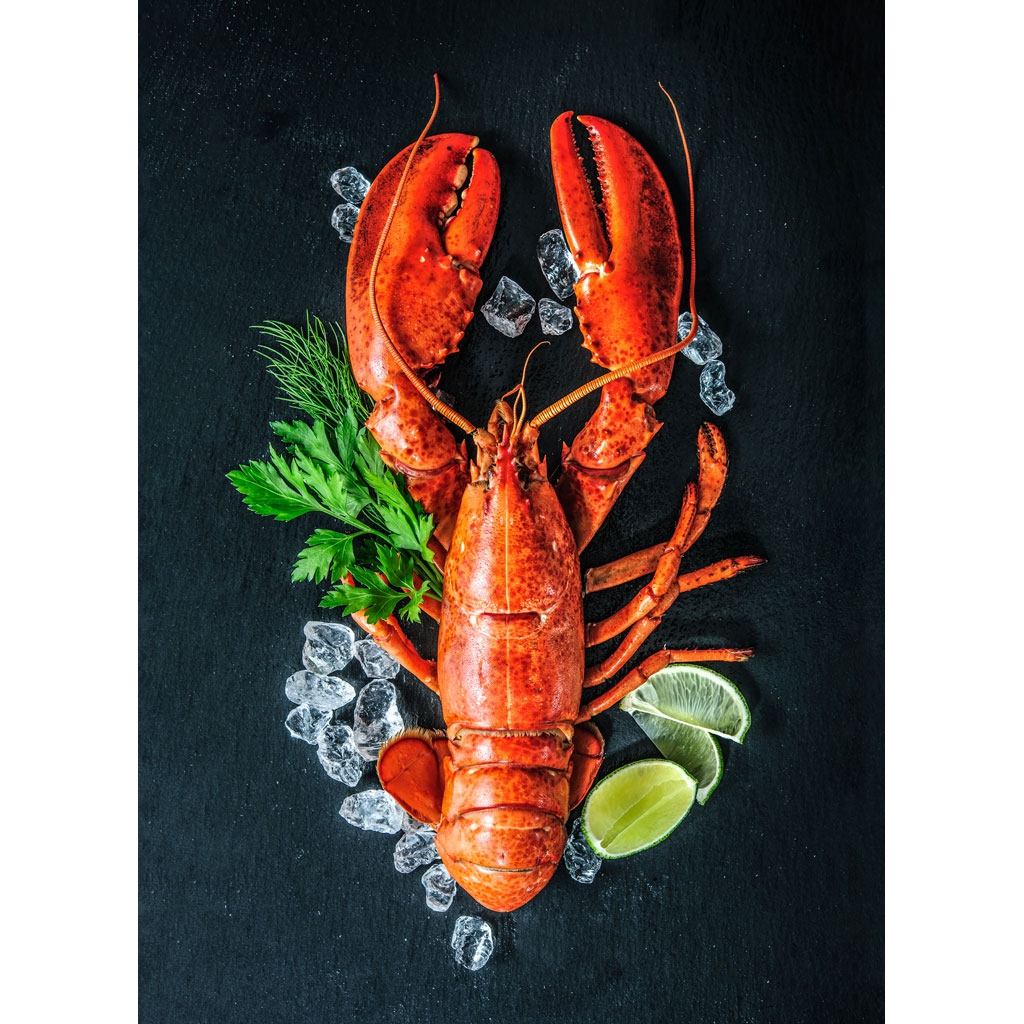 Küchentuch DP - Lobster